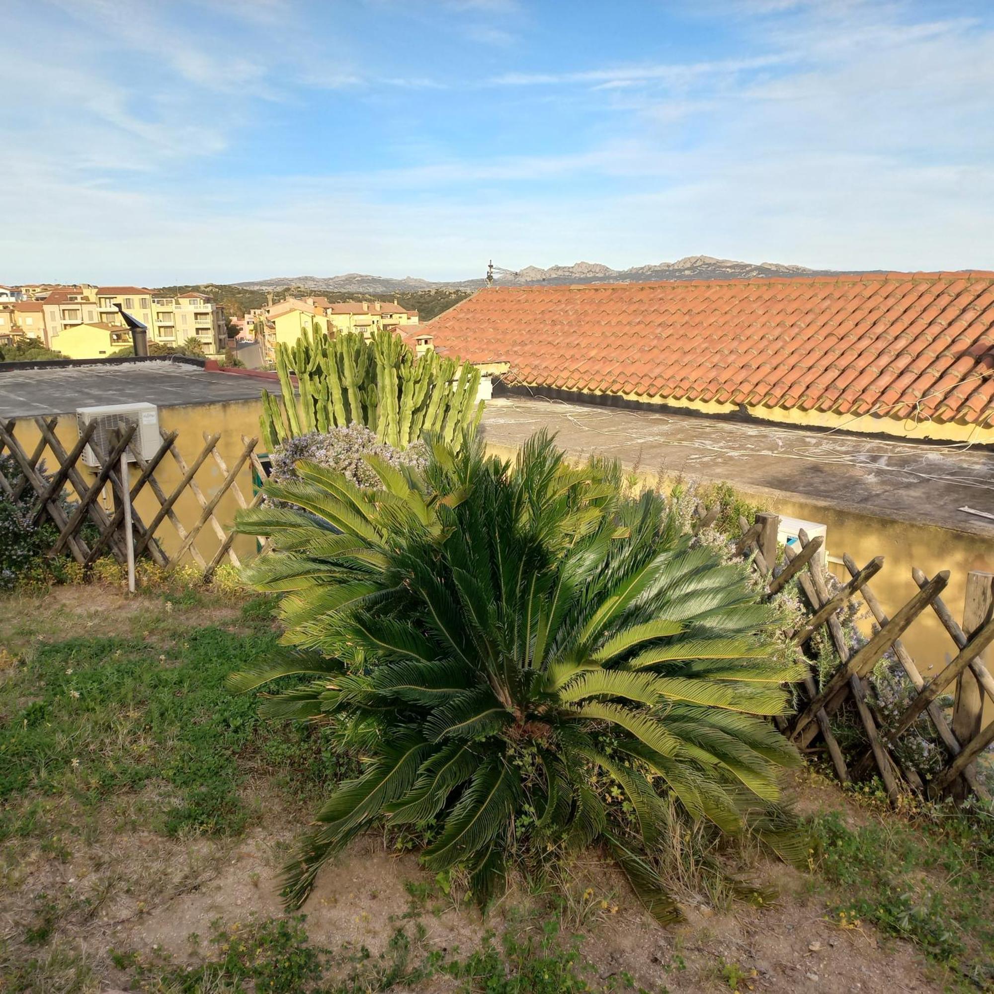 Villa Graziella La Maddalena  Exteriör bild