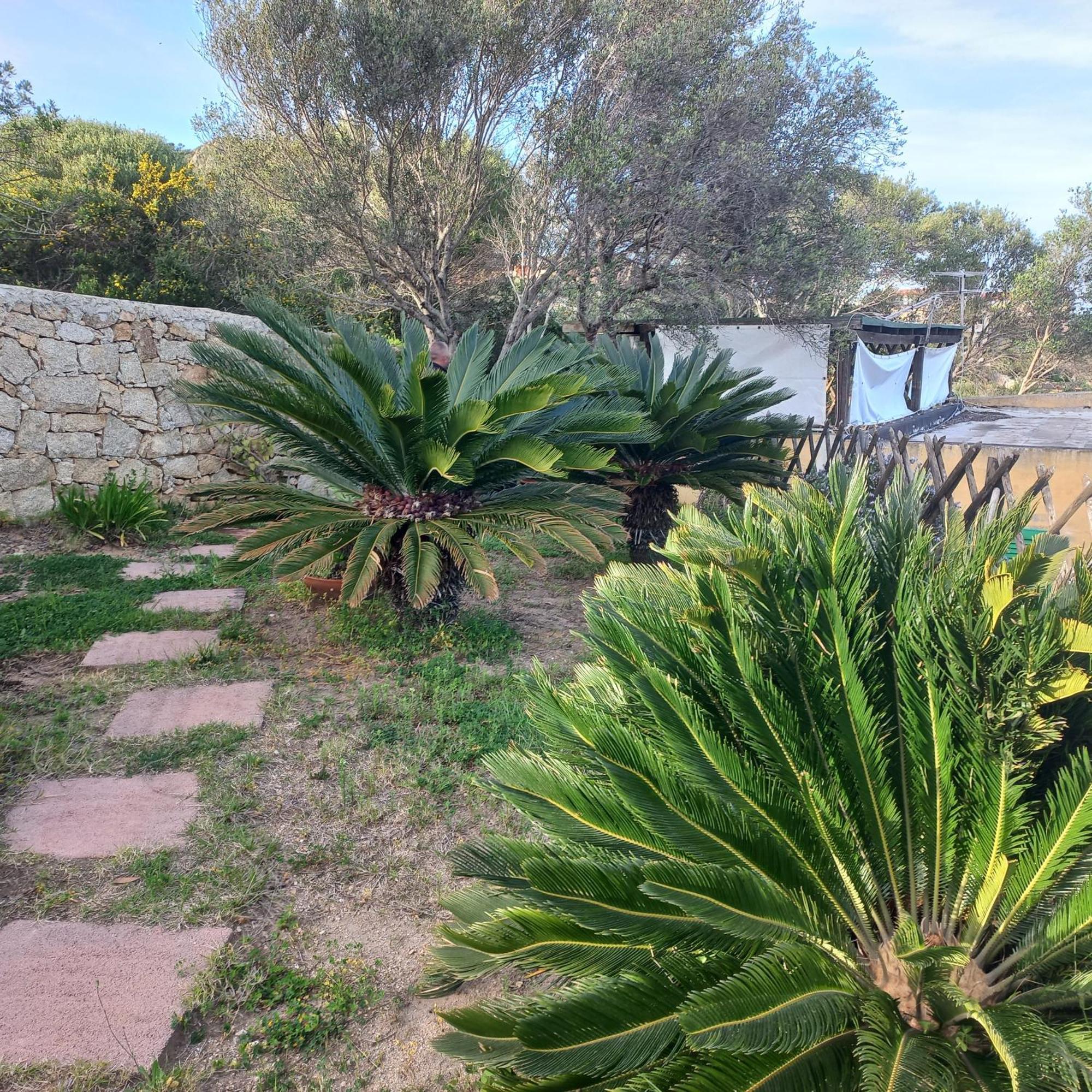 Villa Graziella La Maddalena  Exteriör bild