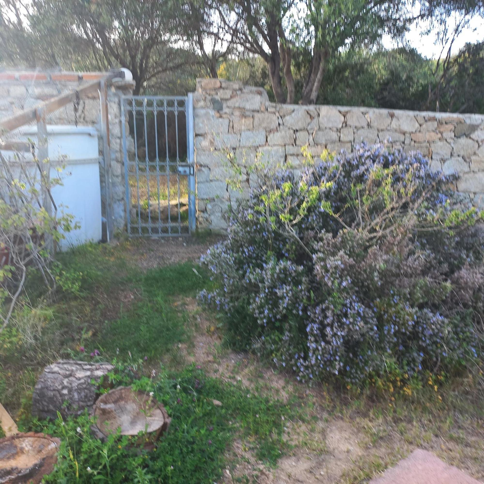Villa Graziella La Maddalena  Exteriör bild