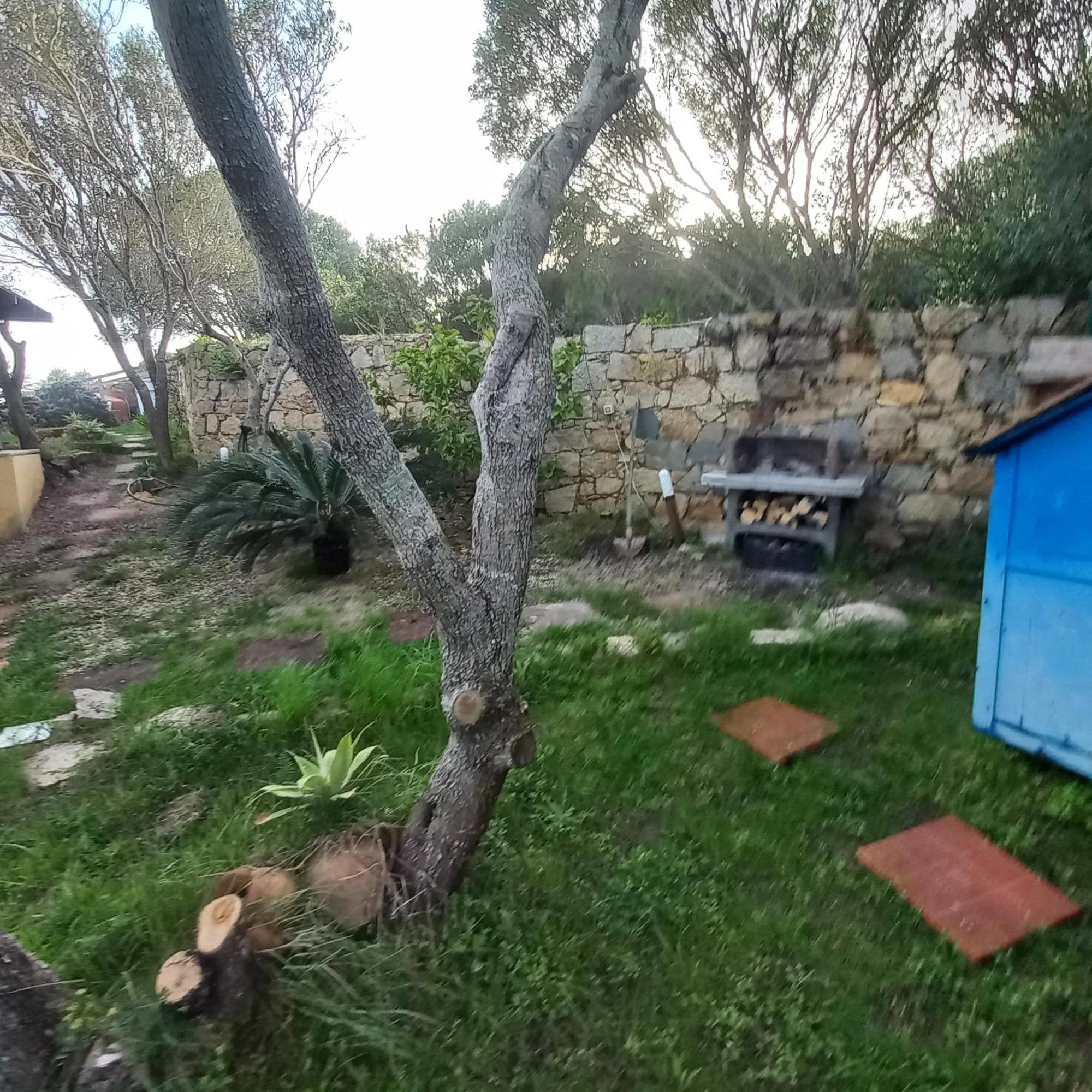 Villa Graziella La Maddalena  Exteriör bild